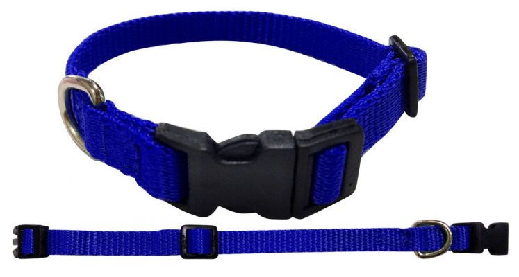 Showman Couture Medium Nylon dog collar #5